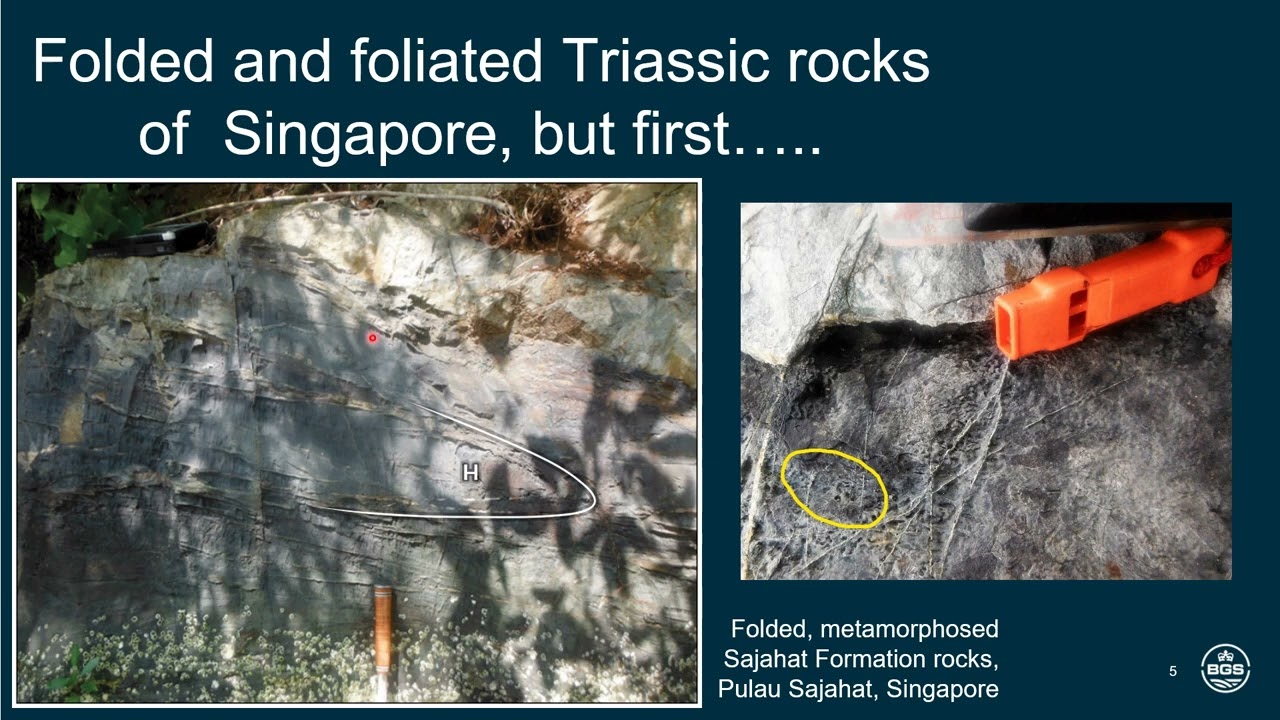 The Mesozoic to Cenozoic structural geology of Singapore