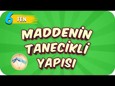 6. Sınıf Fen: Maddenin Tanecikli Yapısı #2022