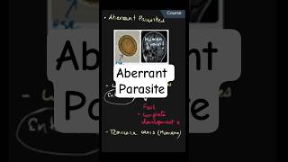 Aberrant Parasite Explained | Medical Parasitology | Microbiology Shorts