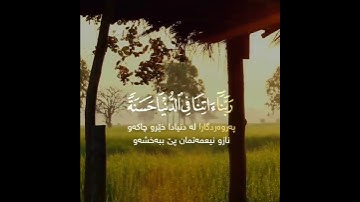 تلاوة هادئة تريح الأعصاب 😴🎧 القارئ: عبدالرحمن مسعد سورة: البقره 💙❤