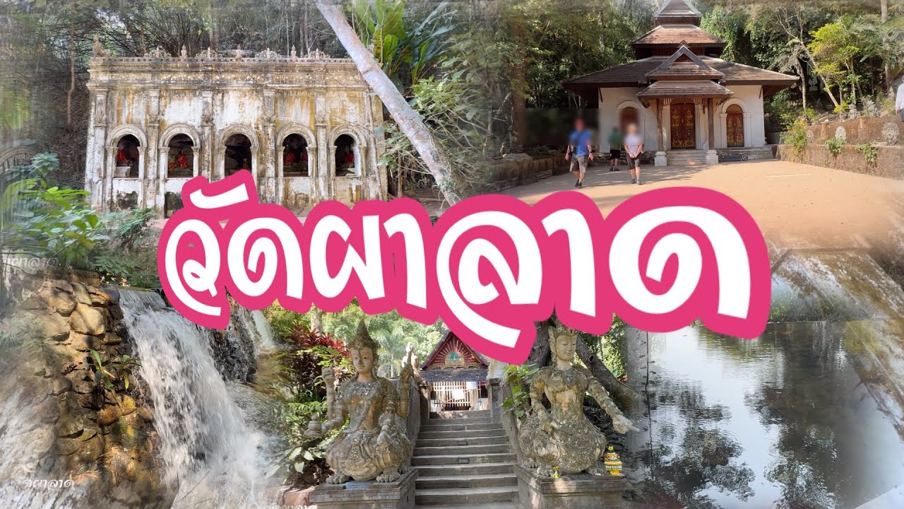 เที่ยวเชียงใหม่ วัดผาลาด วัดโบราณกลางธรรมชาติ + วิวเมืองจากบนดอย 🏙️2026