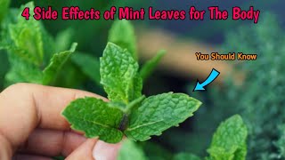 4 Side Effect of Mint Leaves Are Dangerous If Consumed Under These Conditions!