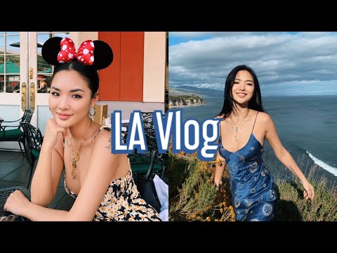 LA Vlog | Disneyland | 엘에이 브이로그 | 손채리