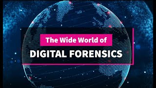 Wide World of Digital Forensics
