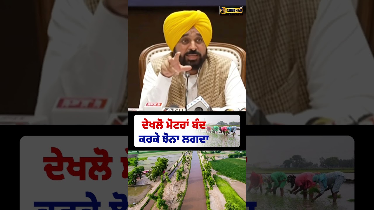 CM Bhagwant Maan ਦਾ ਦਾਅਵਾ, ਦੇਖਲੋ ਮੈਂ ਮੋਟਰਾਂ ਬੰਦ ਕਰਕੇ ਝੋਨਾ ਲੱਗਣ ਲਾ ਦਿੱਤਾ