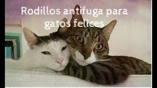 Rodillo  antifuga para gatos felices