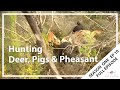 Hunting Aotearoa S01E10 - Ahipara Gumfields & Horohoro Deer, Pigs & Pheasant
