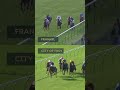 Have we just seen the next Frankel at Newmarket? 😯 #horse #horseracing #animalshorts