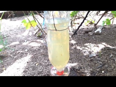 How To Make Fountain  a Three Bottle Heron's Fountain