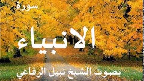 سورة الانبياء بصوت الشيخ / نبيل الرفاعي 21