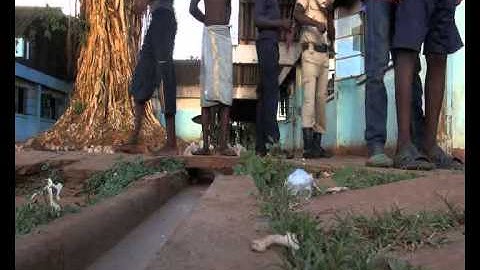 Achitect and Students (2014)