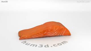 Salmon Fillet 3D model by 3DModels.org