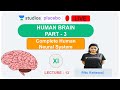L13: Human Brain- 3 | Human Neural System (Pre-medical-NEET/AIIMS) | Ritu Rattewal