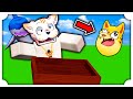IL PARKOUR PIU PAZZO DI ROBLOX MAI GIOCATO