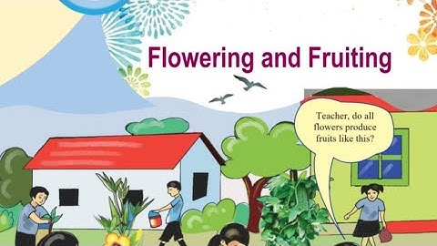 Flowering and fruiting (UNIT-4/STD-6/ basic science