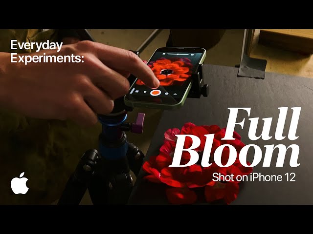 Full Bloom: Stop Motion Animation Celebrating Spring with Creative Experiments