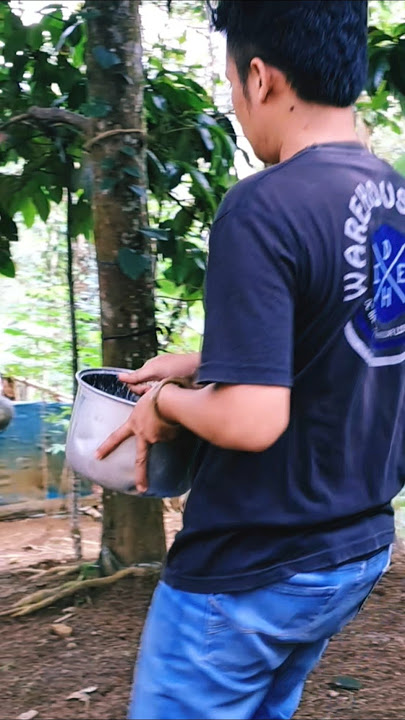 Download lagu Mashallah ā¤ļø The Atmosphere That Everyone Misses #Shorts #shortsvideo