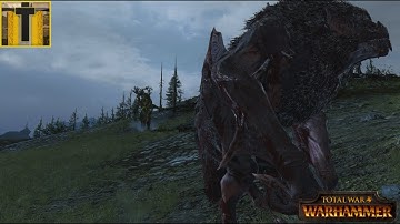 Warhammer: Multiplayer Battle #368 1v1 Don