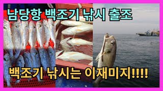 꿀잼 이재미에 백조기 낚시합니다 남당항 백조기 낚시 출조!
