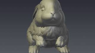 3D Model of Rabbit model for 3D print Review