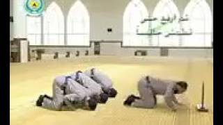 VID-20141010-WA0001.mp4
