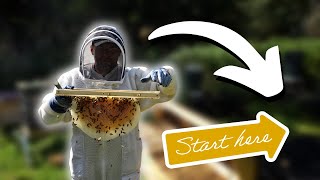 Setting Up An Apiary? Start HERE
