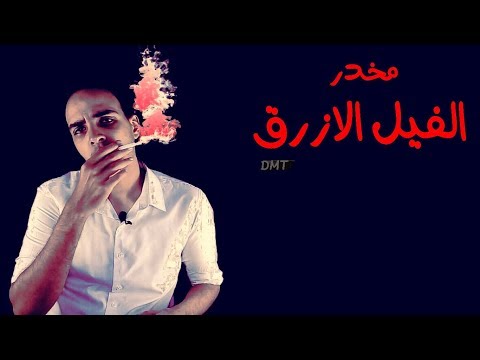 فارماستان - مخدر الفيل الأزرق DMT