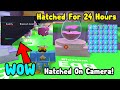 WOW I Hatched 2 Secret Pets On Camera! Hatched Blossom Egg For 24 Hours - Bubble Gum Simulator