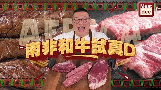 阿Dee切牛 | 南非和牛試真D | Flank Steak  Flap Meat  Chuck Flap 性價比高 味道驚喜 by Meat Dee 6,167 views 5 months ago 8 minutes, 49 seconds