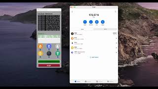 How I Found a $4,400 BNB Wallets CryptoNopoly Wallet Finder Software screenshot 2