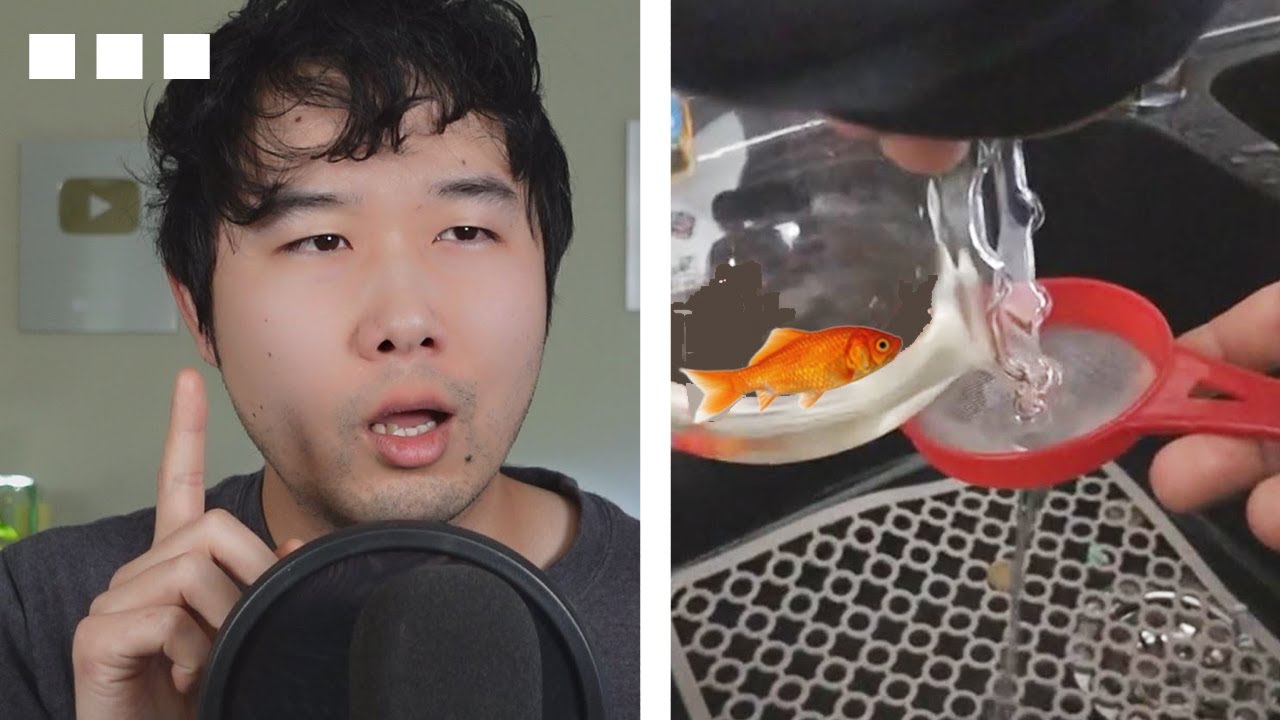 This AMAZING fish tank upgrade WILL SHOCK YOU | Fish Tank Review 150