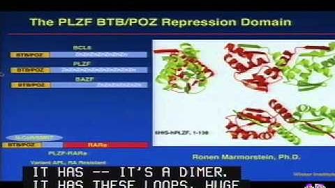 Gridlock on the Genomic Beltway: How Epigenetic Gene Silencing Shapes our Cellular Phenotypes
