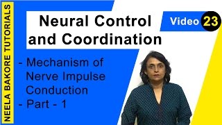 Neural Control and Coordination | NEET | Mechanism of Nerve Impulse Conduction - Part 1  | Dr. Neela