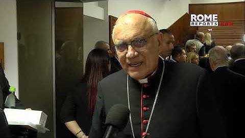 Cardinal Porras on synod: We must accept the reality of the common home