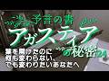 【アガスティアの葉の秘密24】アガスティアの葉を開けたのに何も変わらない、でも変わりたいあなたへ