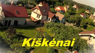 Kiškėnai #2 in 4K [2024-05-26]