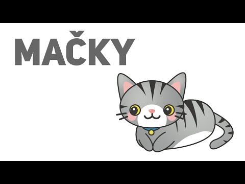 Video: Ako Chodiť Mačky