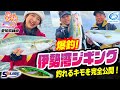 【ジギング】爆釣!伊勢湾ジギング 釣れるキモを完全公開!