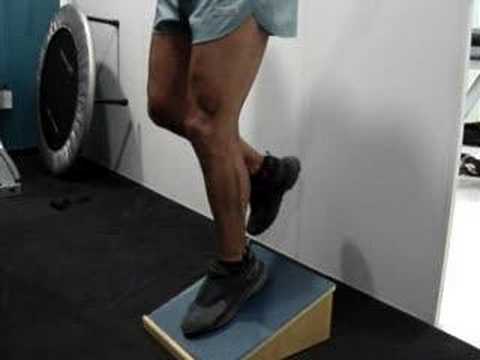 Phy. Ther Functional Prevention-Excentric for the Quadriceps