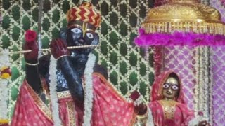 govind dev ji live darshan mandir jaipur rajasthan temple मंगला झांकी आरती दर्शन #govinddevji #viral