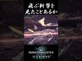 【MHW IB】飛ぶ斬撃を見たことあるか 金レイア居合編 #shorts #mhwib #mhwi #モンハンワールドアイスボーン #太刀