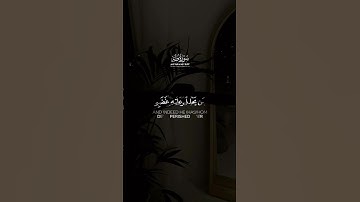 سورة طه - القارئ : عمر بن ضياء الدين #قران_كريم #quran #راحة_نفسية #اكسبلور #سورة_طه #عمر_ضياء_الدين