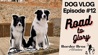 From Backyard Buddy to Show Champion: Riffa the Border Collie's Journey