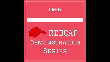REDCap Fields Overview