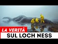 Il Mostro di Loch Ness Non Era Quello Che Pensavamo — E La Scienza Lo Ha Appena Dimostrato