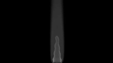 Nicholas Jamieson: Self-excited premixed laminar flames