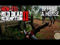 Ch. 10 How to Offend a Horse in Red Dead Redemption 2