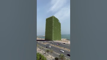 🌊1403 Norouz VFX Video Made With Blender And Davinci Resolve