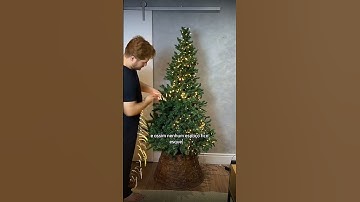 O SEGREDO PARA ÁRVORE DE NATAL BEM ILUMINADA