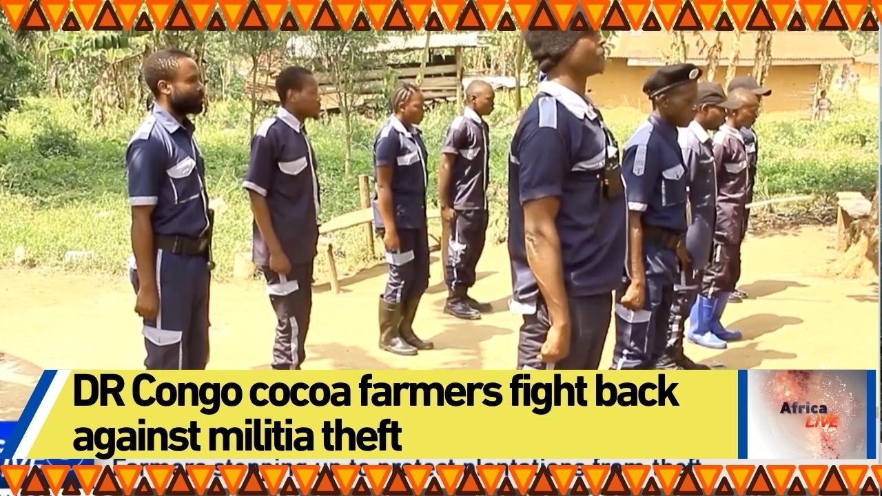 DR Congo cocoa farmers fight back against militia theft
